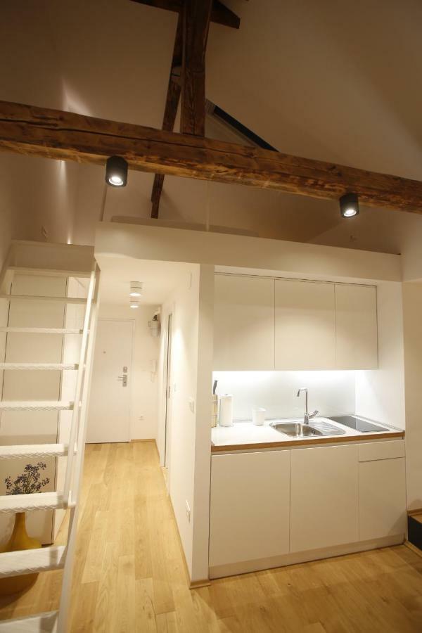 Studio Apartman Olaf ザグレブ エクステリア 写真